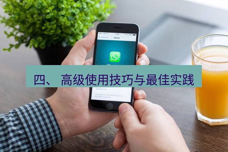 whatsapp下载 四、 高级使用技巧与最佳实践